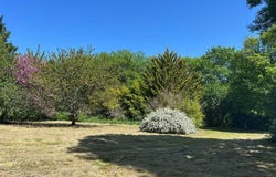 Parisot, Midi-Pyrénées 82160