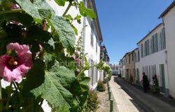 La Flotte, Poitou-Charentes 17630