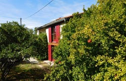 Aniane, Occitanie 34150