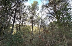 Barjols, Var 83670