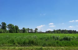 Bazas, Aquitaine 33430