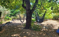 Laurens, Languedoc-Roussillon 34480
