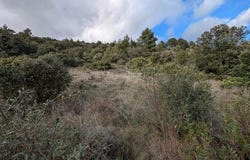 Rieux-En-Val, Languedoc-Roussillon 11220