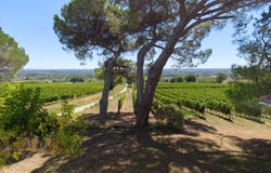 Saint-Macaire, Aquitaine 33490