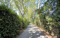 Canohès, Occitanie 66680