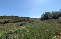 Cazedarnes, Languedoc-Roussillon 34460