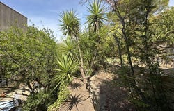 Roujan, Languedoc-Roussillon 34320