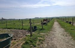 Douchy-Montcorbon, Centre-Val de Loire 45220