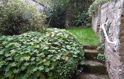 SENONES, Grand Est 88210