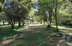 Grignan, Rhône-Alpes 26230