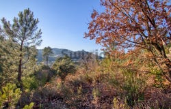 Branoux-les-Taillades, Occitanie 30110