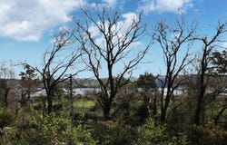 Arzal, Brittany 56190