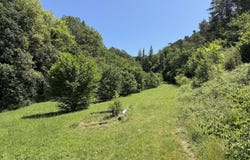Saint-Cyprien, Aquitaine 24220