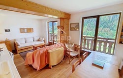293 Chemin des Ruisseaux, Châtel, Haute-Savoie 74390
