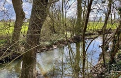 SAINT MARTIN L'ARS, Poitou-Charentes 86350