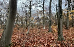 Belleu, Picardie 02200