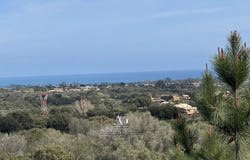 Solaro, Haute-Corse 20240