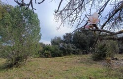 Saint-André-de-Sangonis, Languedoc-Roussillon 34725