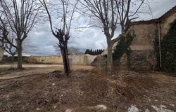 Puisserguier, Languedoc-Roussillon 34620