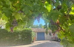 Montaut, Aquitaine 24560
