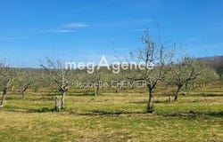 Cours-De-Pile, Aquitaine 24520