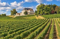 Fronsac, Aquitaine 33126