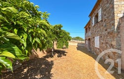 Monticello, Corsica 20220