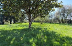 CIVRAY, Nouvelle-Aquitaine 86400