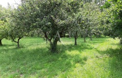 VENANSAULT, Pays de la Loire 85190