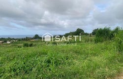 Basse-Pointe, Pays de la Loire 97218