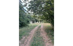 Saint-Denis-Les-Sens, Bourgogne 89100