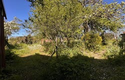 LARONXE, Grand Est 54950