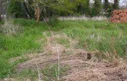 Cambron, Picardie 80132