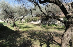 Saint-Gilles, Languedoc-Roussillon 30800