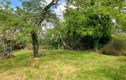 OLLAINVILLE, Île-de-France 91340
