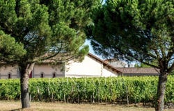 Bordeaux, Gironde 33000