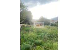 Calenzana, Haute-Corse 20214