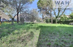 Quissac, Gard 30260