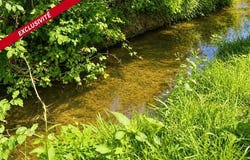 Rene, Pays de la Loire 72260