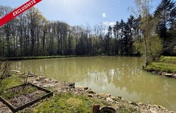 Saint-Cosme-En-Vairais, Pays de la Loire 72110