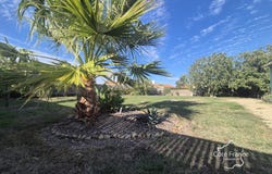 Bouin, Pays de la Loire 85230