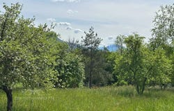 Bassy, Haute-Savoie 74910
