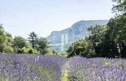 La Bégude-de-Mazenc, Rhône-Alpes 26160