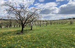 Agen, Aquitaine 47000