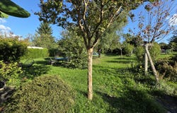 Panazol, Limousin 87350