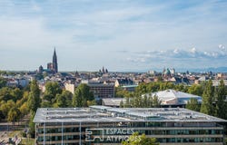 STRASBOURG, Grand Est 67000