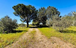 Pézenas, Languedoc-Roussillon 34120