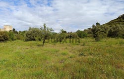 Saint-Bonnet-du-Gard, Occitanie 30210