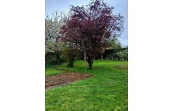 Chatillon-Sur-Seine, Bourgogne 21400
