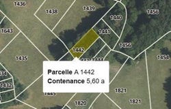 Saint-Plantaire, Centre 36190